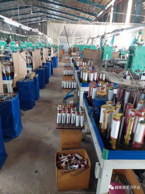 越南平陽省服裝輔料工廠 專業生產針織松緊帶 鞋帶 提花帶等產品